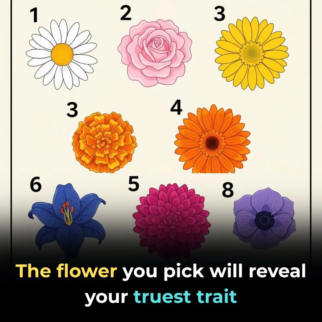 The Flower You Pick Will Reveal Your Truest Trait