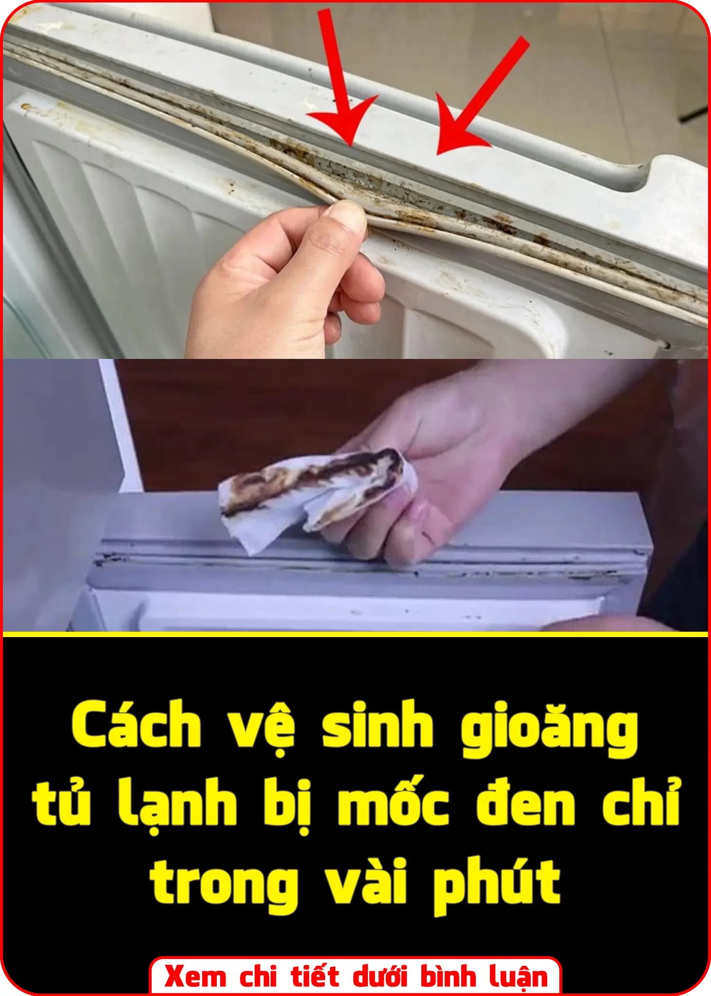 The refrigerator gasket is moldy, use this to clean it, it will be clean in just 5 minutes