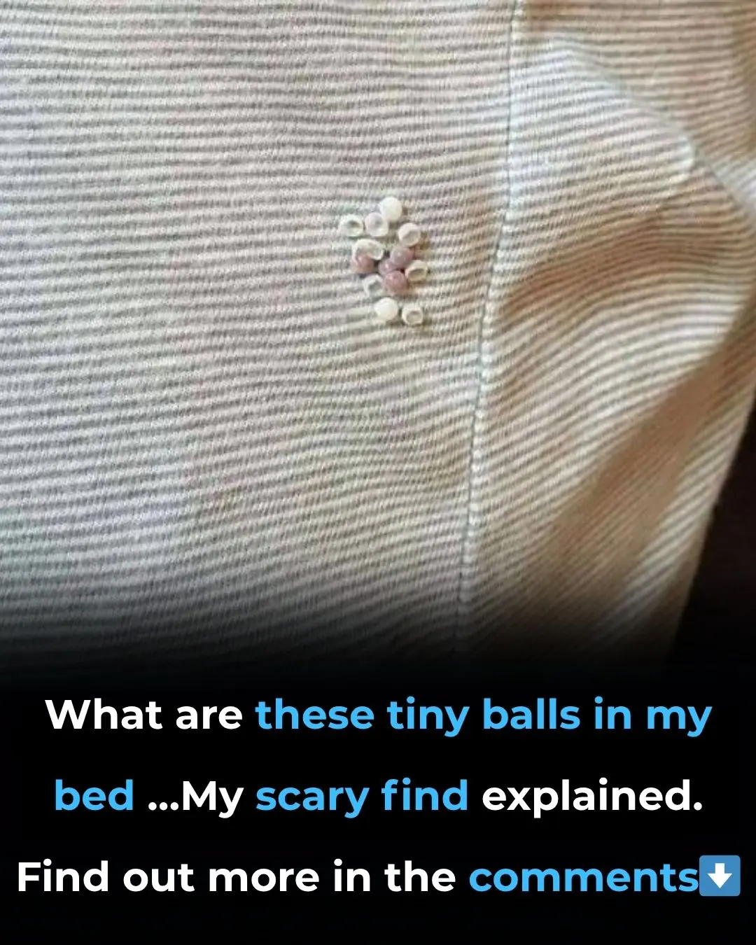 What Are These Tiny Balls in My Bed