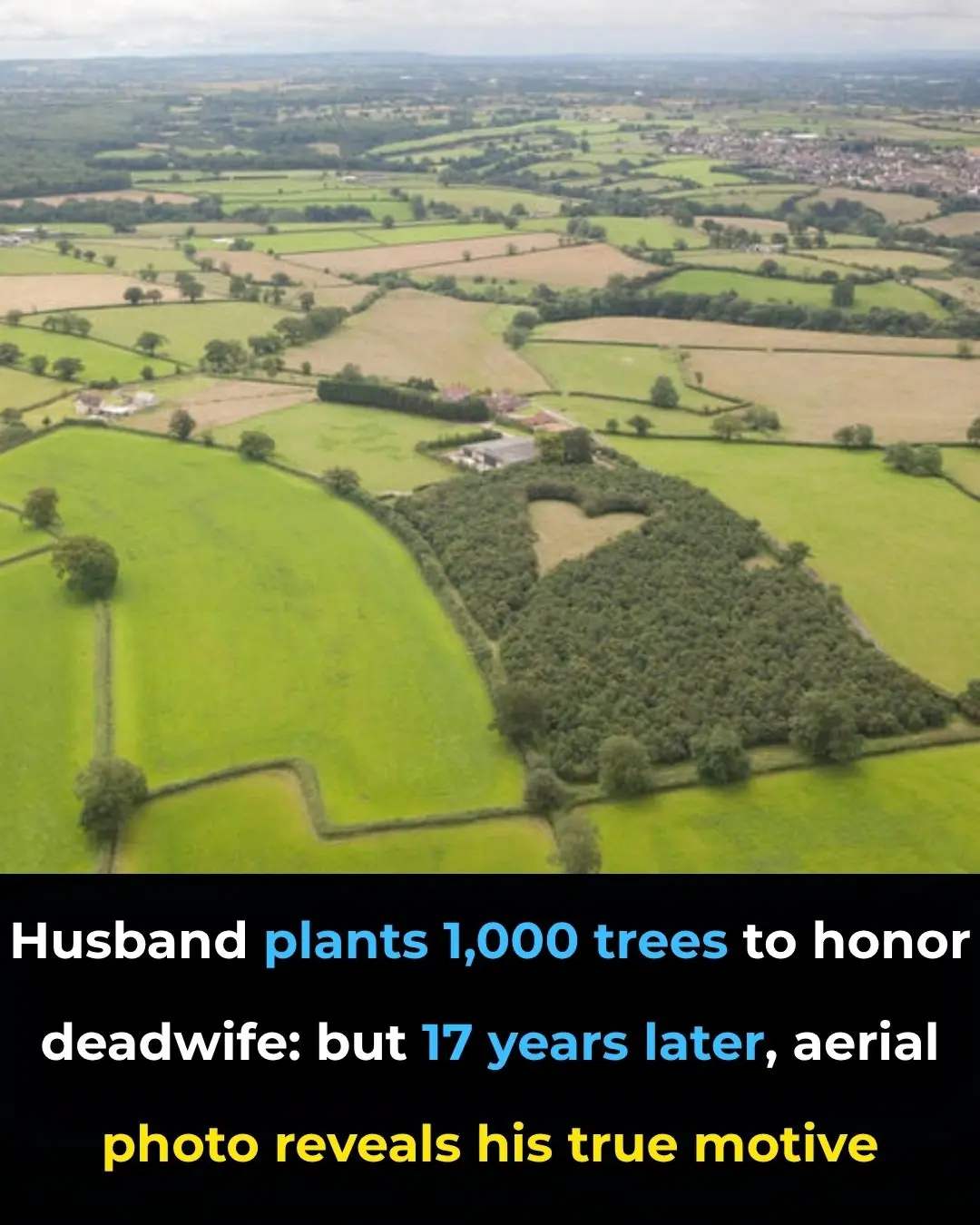 Farmer Plants 1,000 Oak Trees to Create Memorial for Late Wife