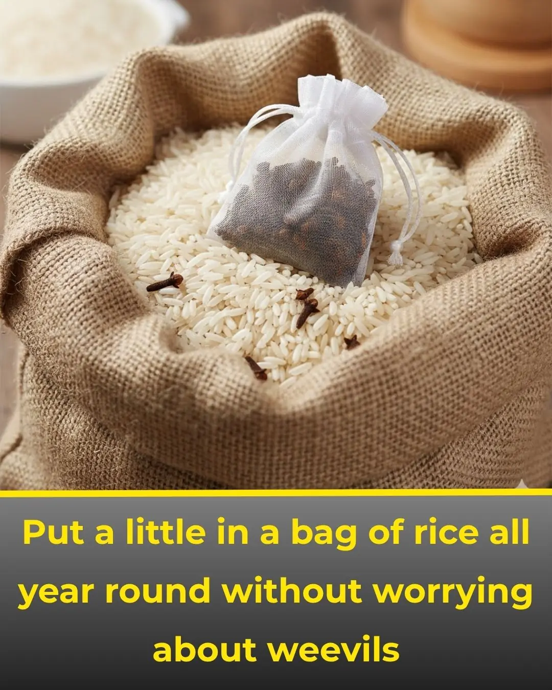 Keep rice weevil-free all year: two simple tricks — plus evidence and safer pantry practices