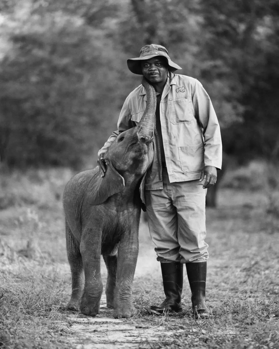 A Kiss from Joy: The Language of Love Between Elephants and Humans