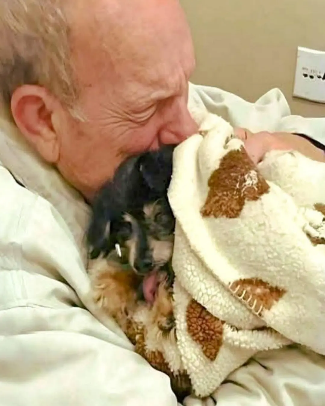 When a Celebration Became a Goodbye: A Daughter’s Farewell to Her Faithful Companion