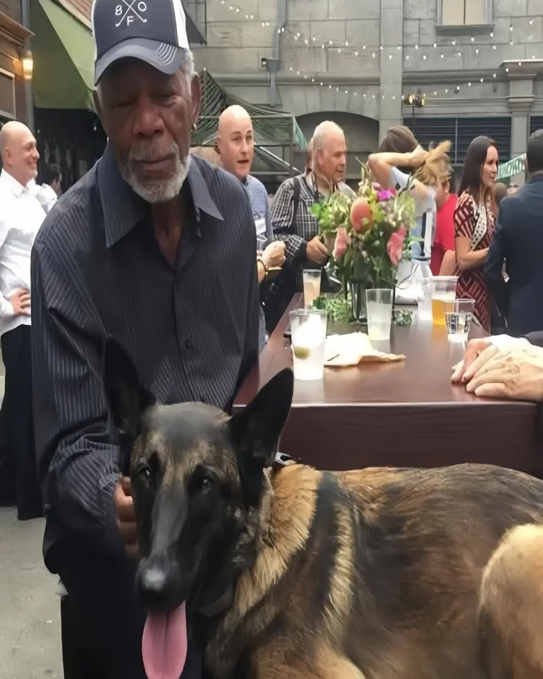 An Actor’s Greatest Role: Morgan Freeman Becomes a Guardian of Strays