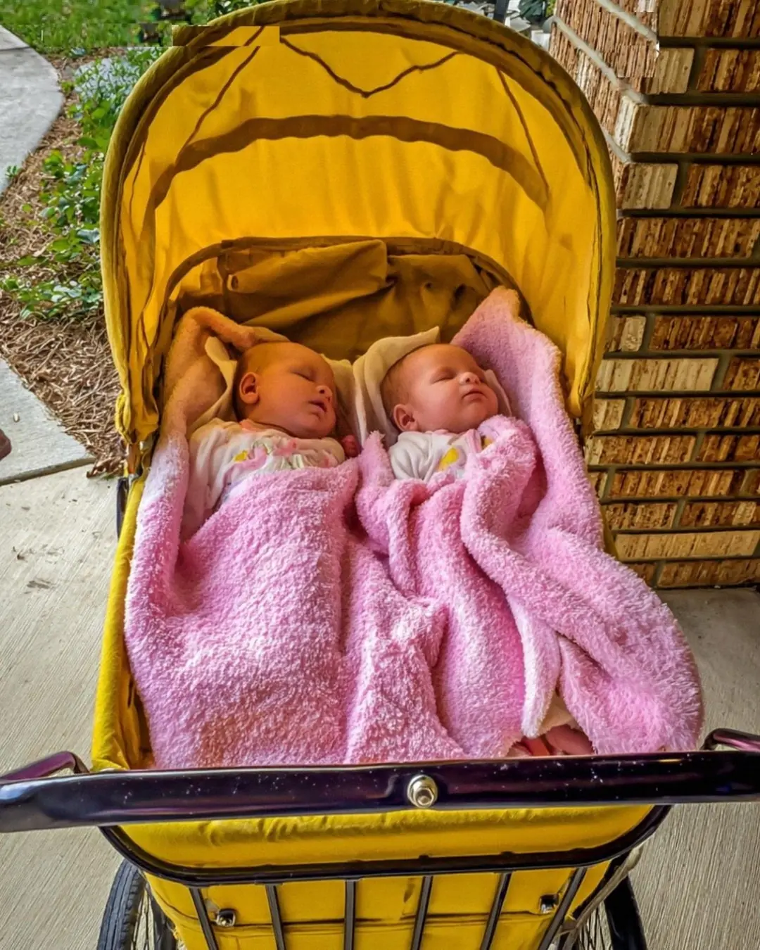 From Sidewalk to Forever: A Daughter’s Choice That Changed Everything