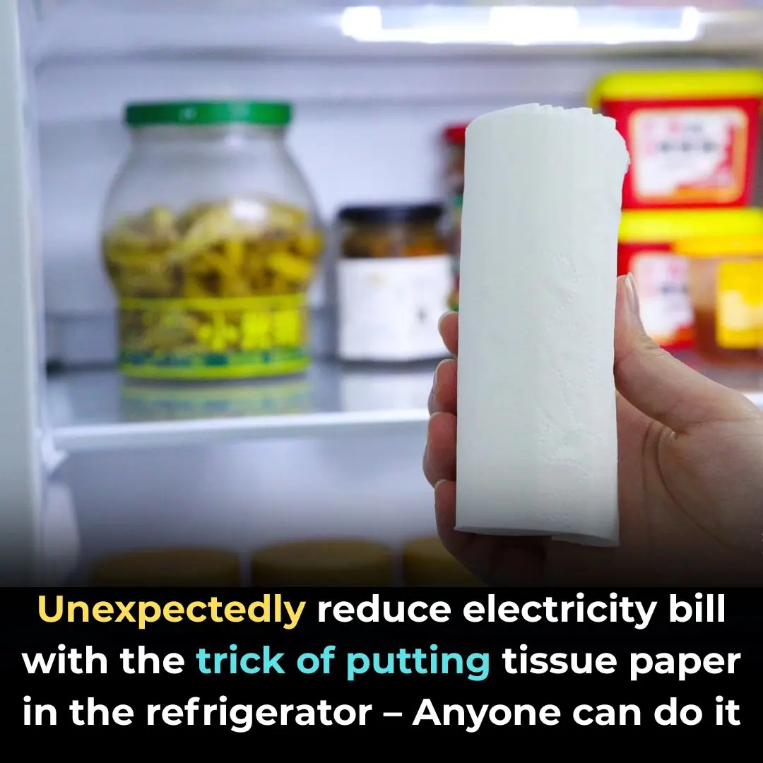 Unexpectedly reduce electricity bill with the trick of putting tissue paper in the refrigerator – Anyone can do it