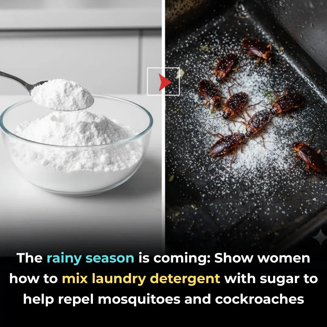 The rainy season is coming: Show women how to mix laundry detergent with sugar to help repel mosquitoes and cockroaches