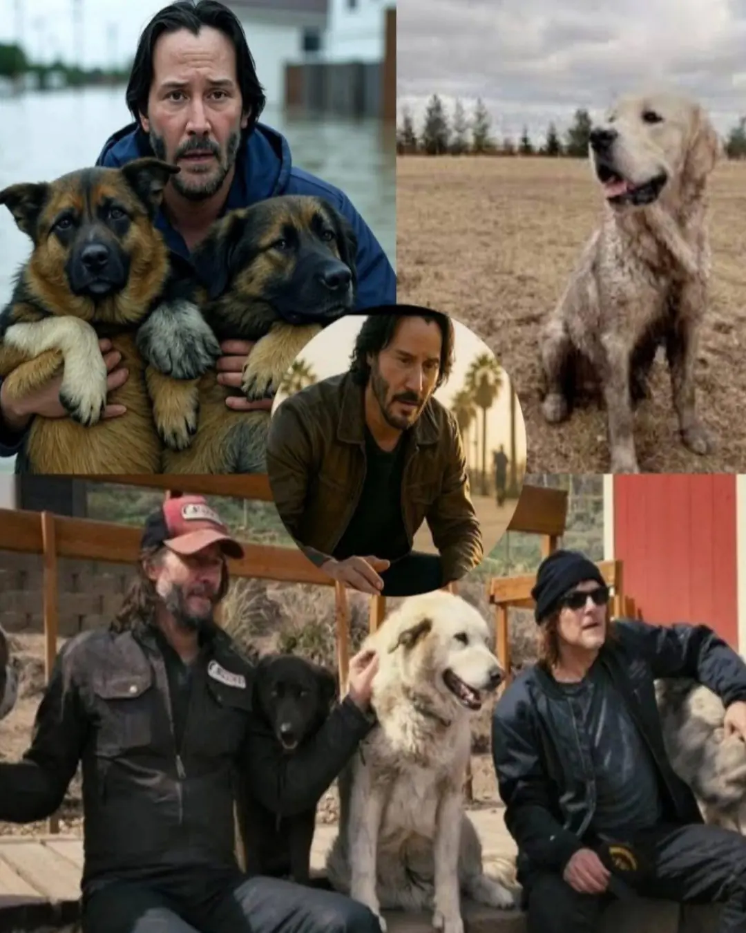 Keanu Reevesâ Brave Attempt to Save Homeless Dogs in Texas Floodwaters Captures the Worldâs Heart