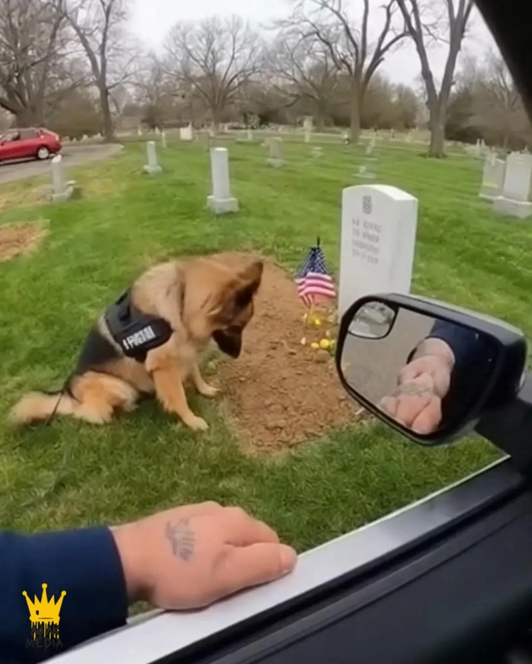 The Dog Who Still Waits: A K9âs Final Salute to His Fallen Partner