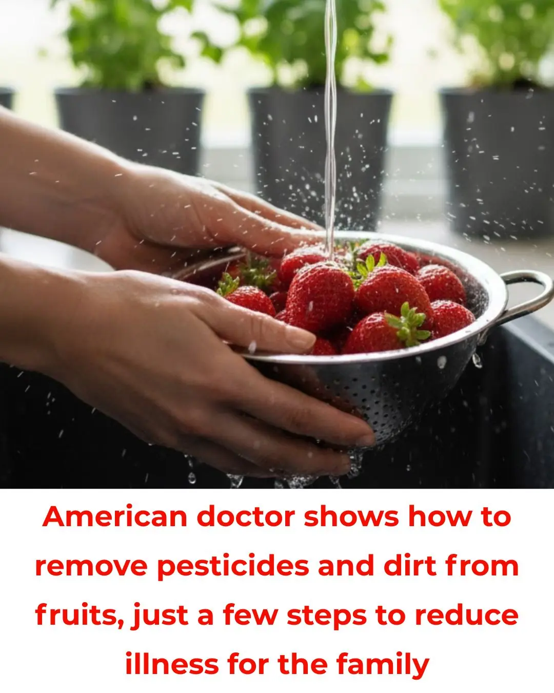 American doctor shows how to remove pesticides and dirt from fruits, just a few steps to reduce illness for the family