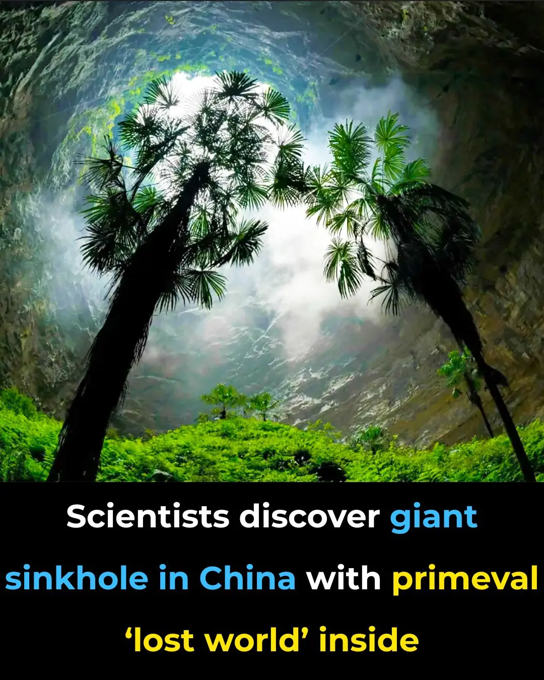 Scientists Discover Giant Sinkhole in China With Primeval ‘Lost World’ Inside