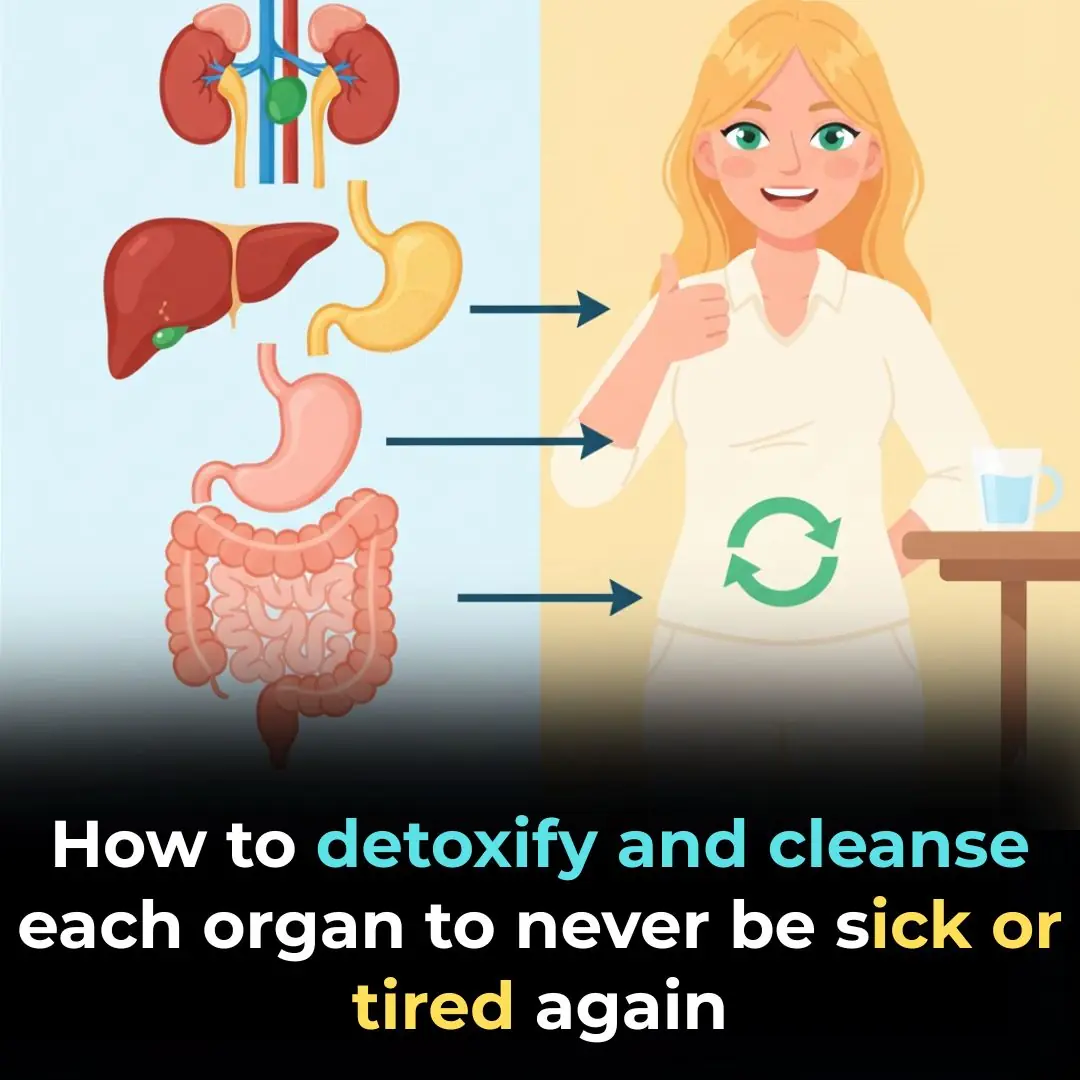 10 Simple Ways to Help Your Body Detoxify and Cleanse Itself