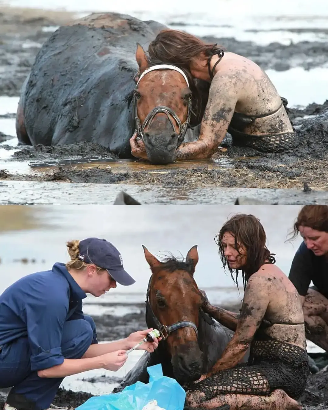 The Day a Mother Refused to Let Go — Nicole and Astro’s Fight Against the Tide.