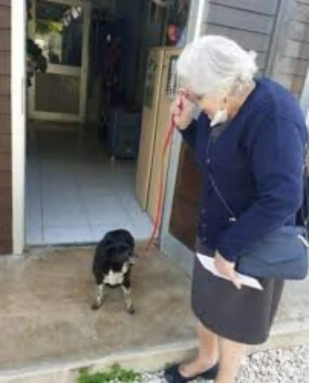 Love Without Age: An Elderly Woman’s Journey to Her Perfect Companion
