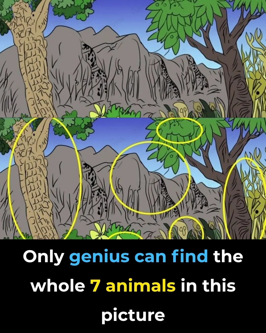 Find All 7 Animals Hidden