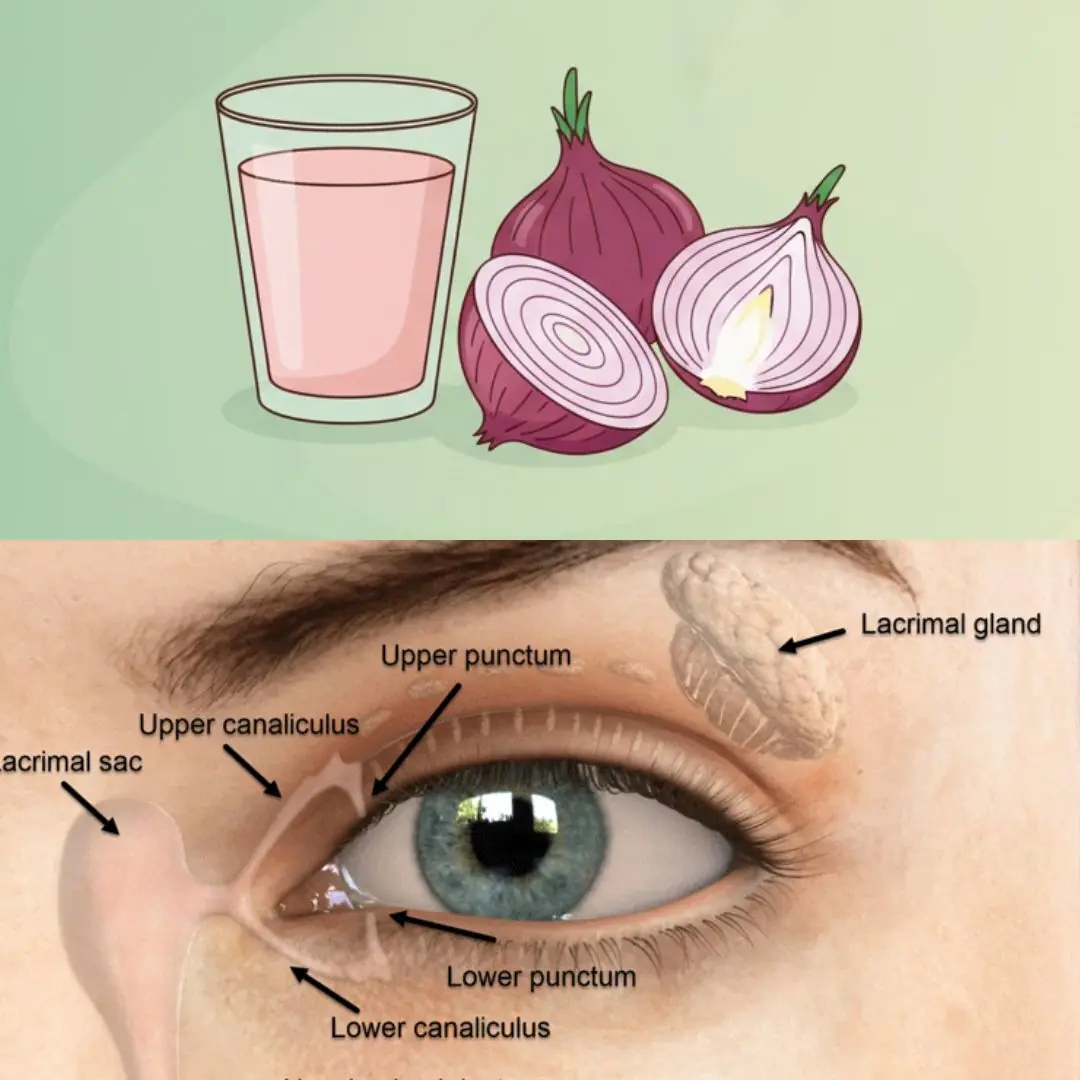 Onion Drink for Eye Health: Nutritional Support from the Inside Out