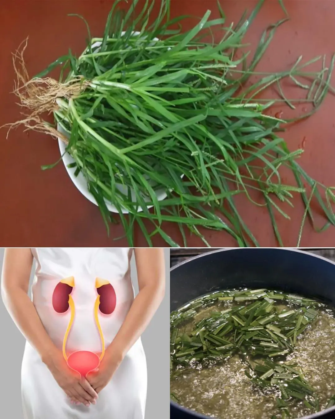 25 Incredible Health Benefits of Goosegrass