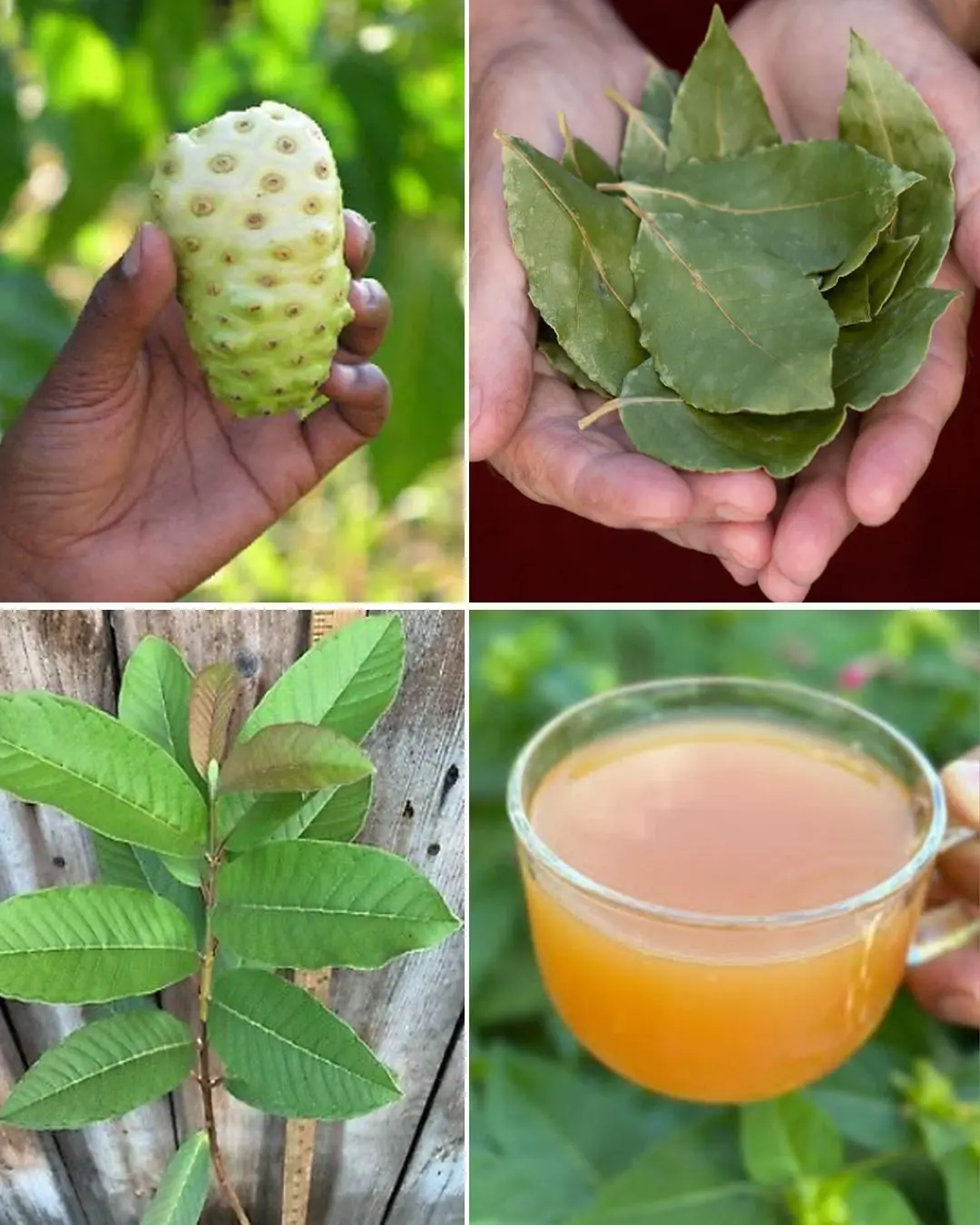 The Ultimate Healing Tonic: A Powerful Drink to Combat Swollen Feet, Diabetes and Poor Circulation