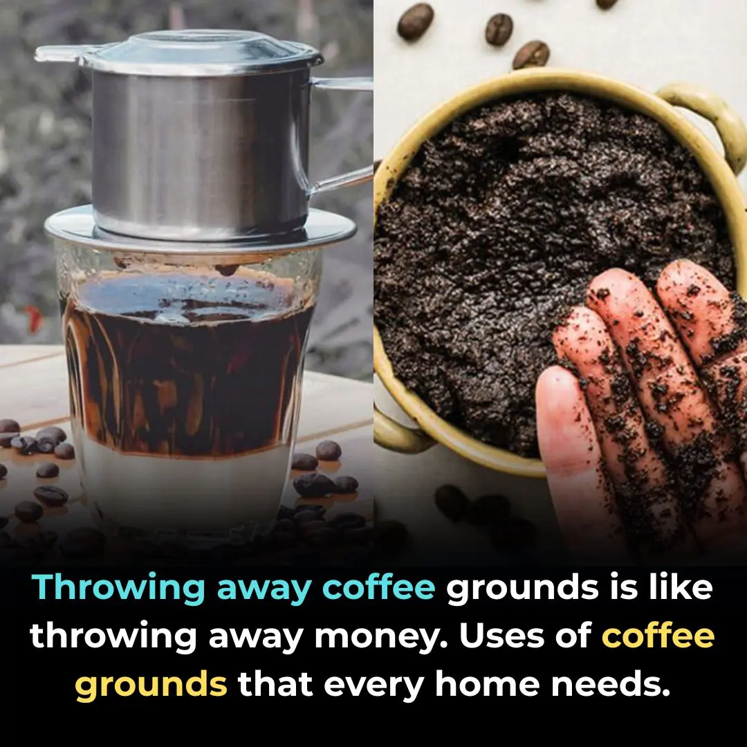 Throwing away coffee grounds is like throwing away money. Uses of coffee grounds that every home needs.