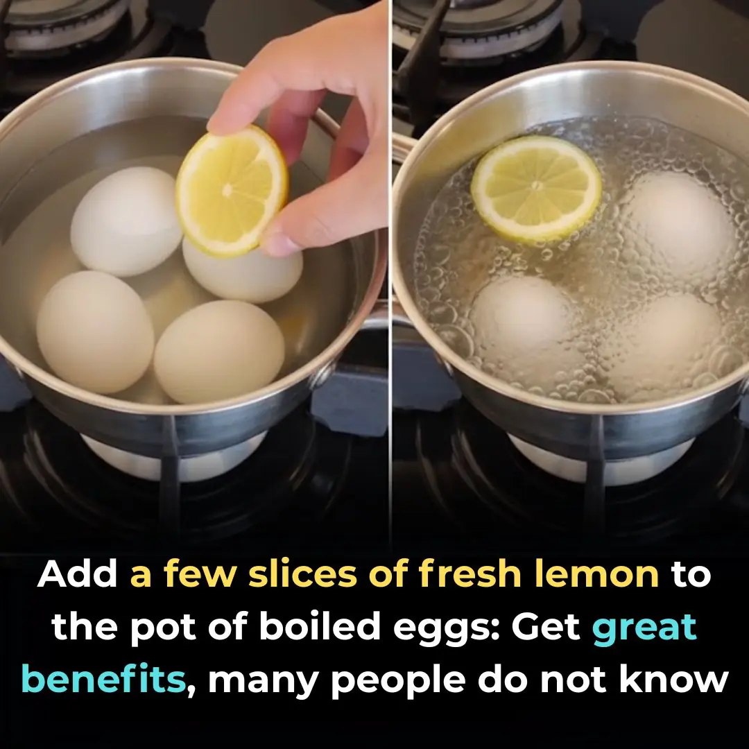 Add a few slices of fresh lemon to the pot of boiled eggs: Get great benefits, many people do not know