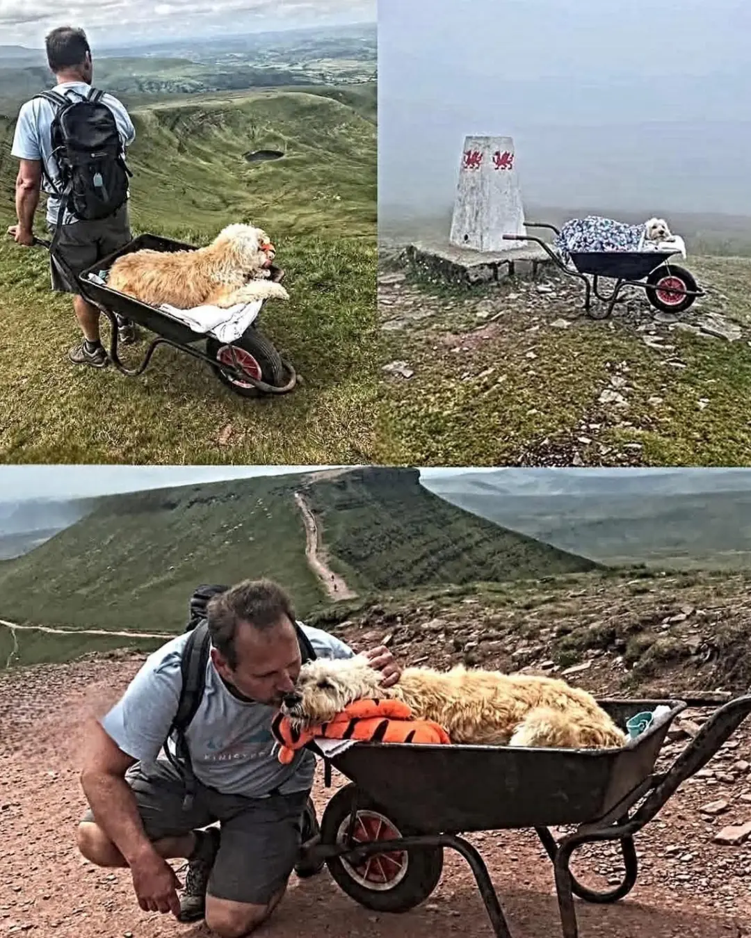 “One Last Climb: A Man, His Dog, and a Wheelbarrow Full of Love”