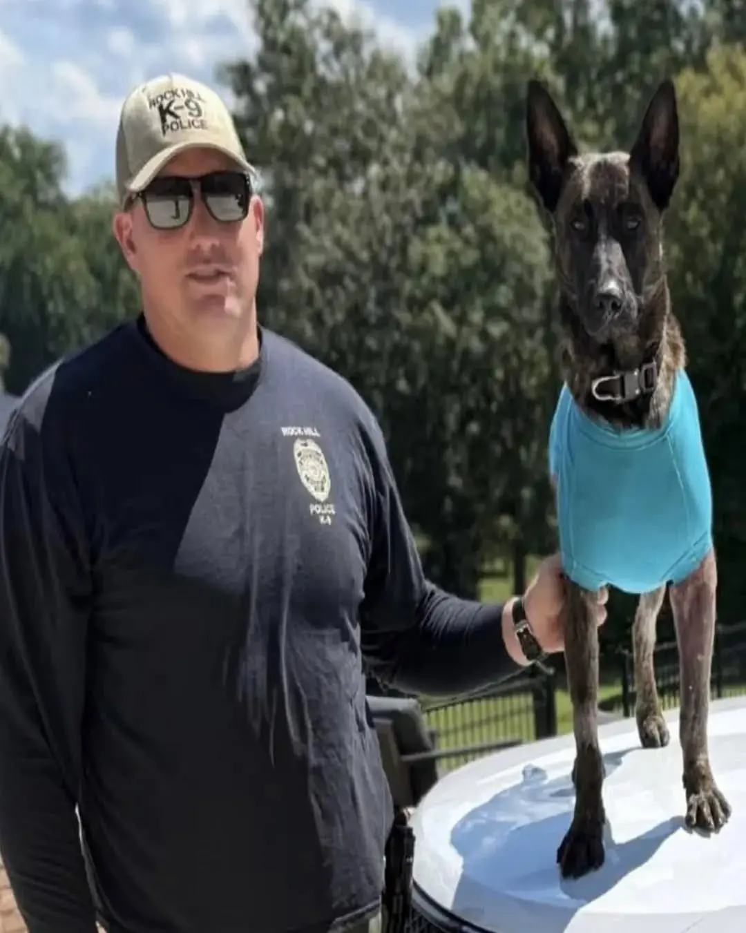 K-9 Apollo: A Hero’s Fight for Life and the Community That Saved Him