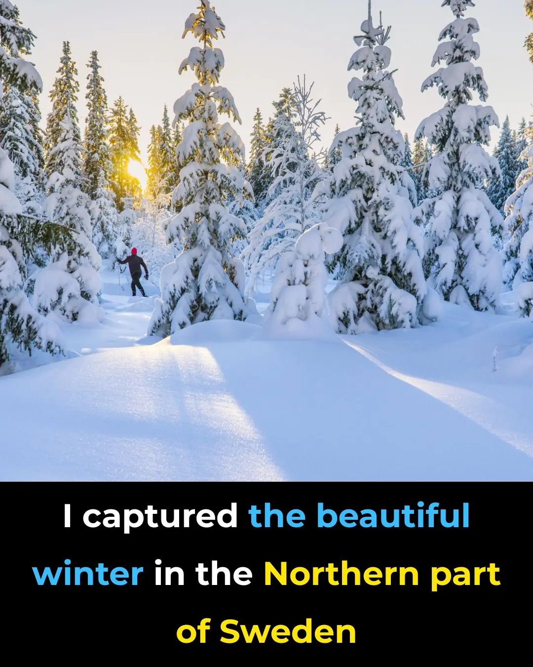I Captured The Beautiful Winter In The Northern Part Of Sweden