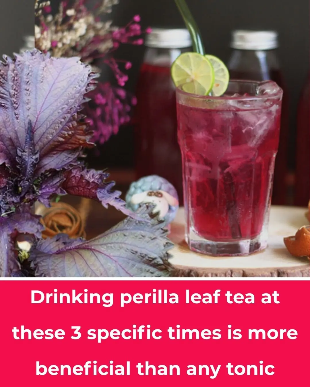 The 3 Best Times to Drink Perilla Leaf (Shiso) Water — and What Science Says
