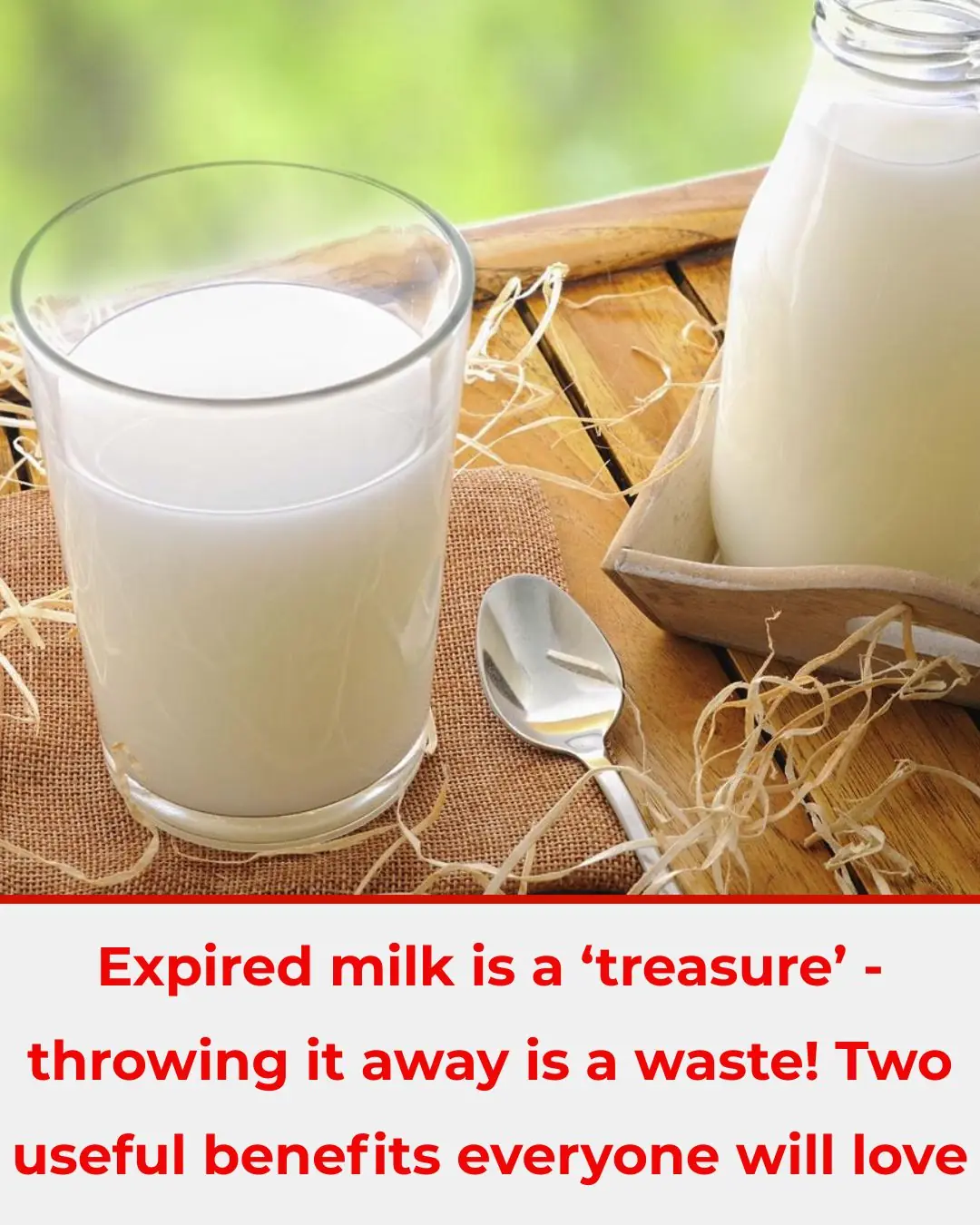 Expired Milk Isn’t Just Waste — 2 Useful Ways to Reuse It (If It’s Not Spoiled)