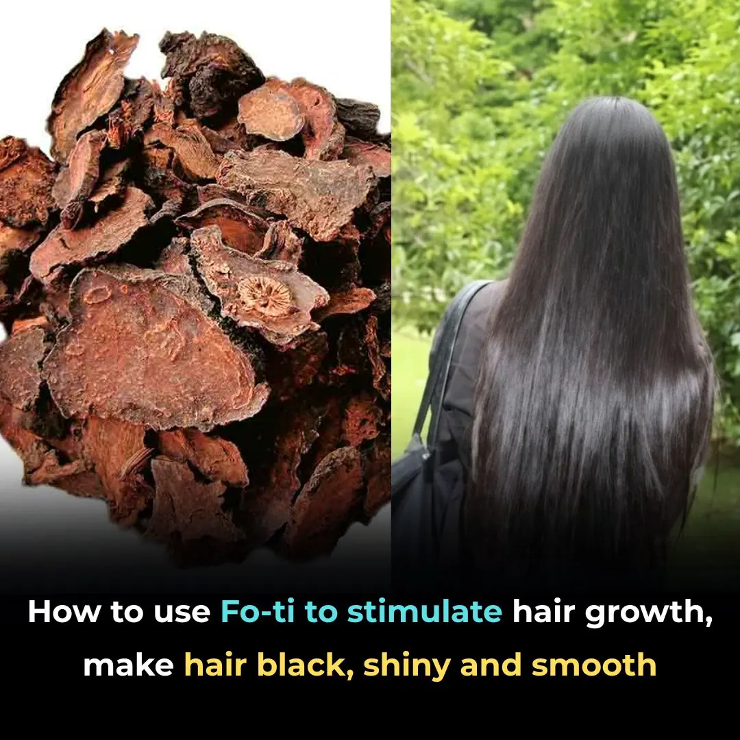How to use Fo-ti to stimulate hair growth, make hair black, shiny and smooth