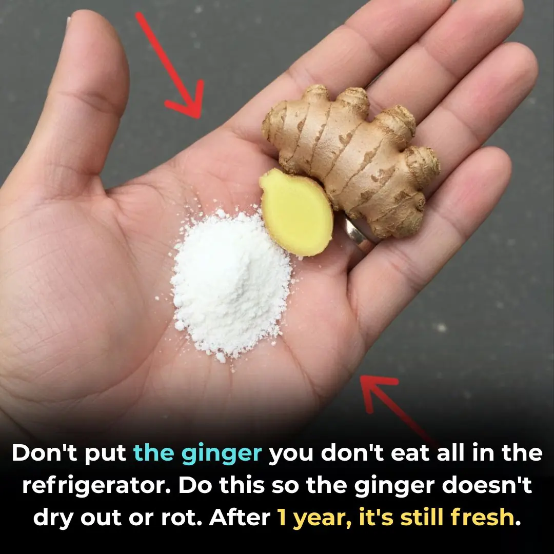 Don't put the ginger you don't eat all in the refrigerator. Do this so the ginger doesn't dry out or rot. After 1 year, it's still fresh.
