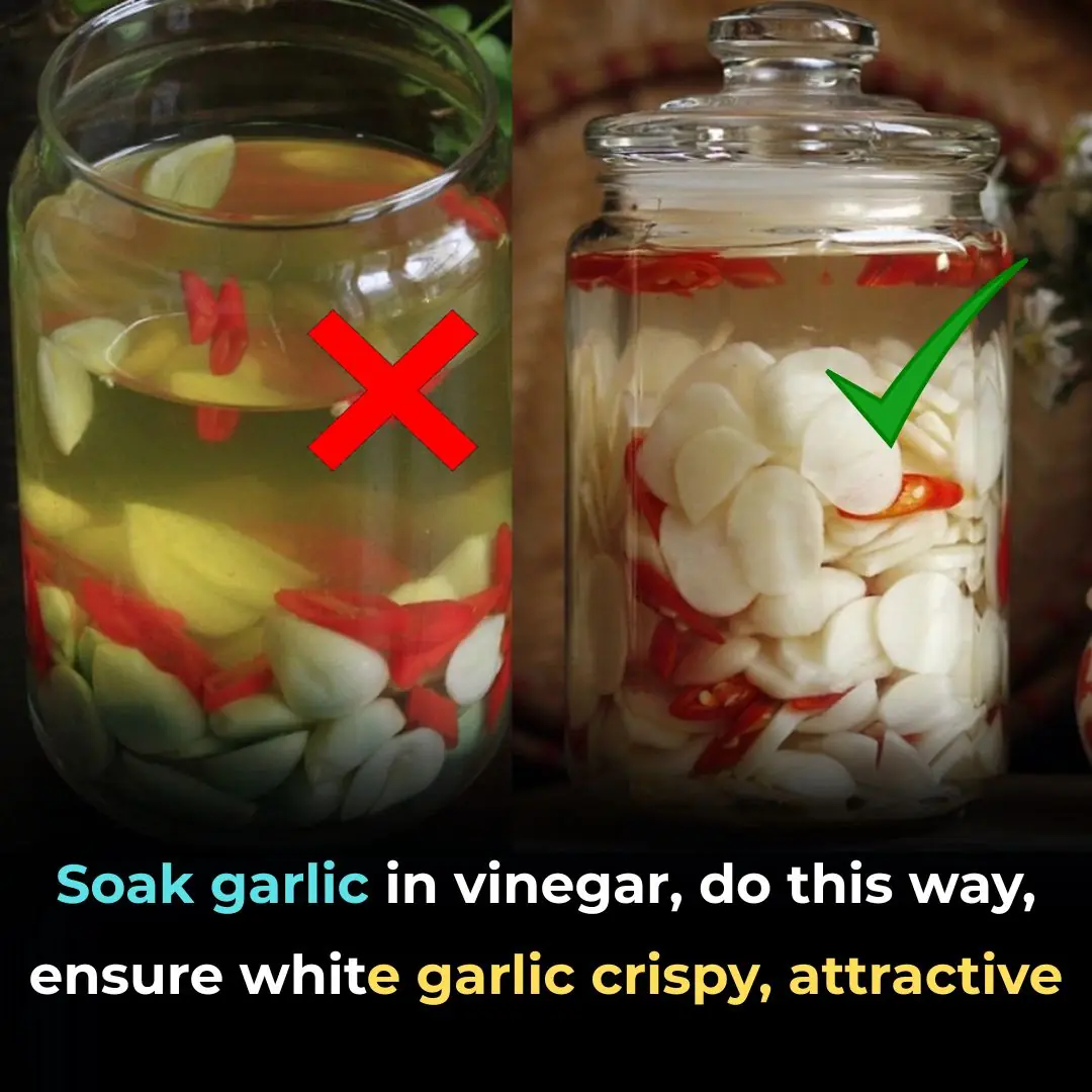 Soak garlic in vinegar, do this way, ensure white garlic crispy, attractive