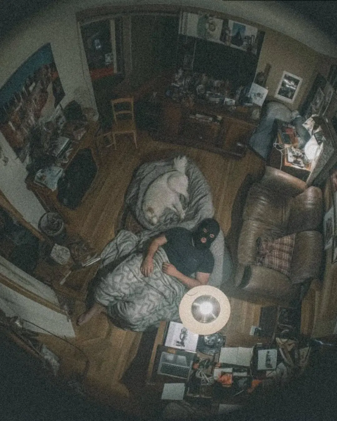 The Burglar Who Fell Asleep Beside a Dog