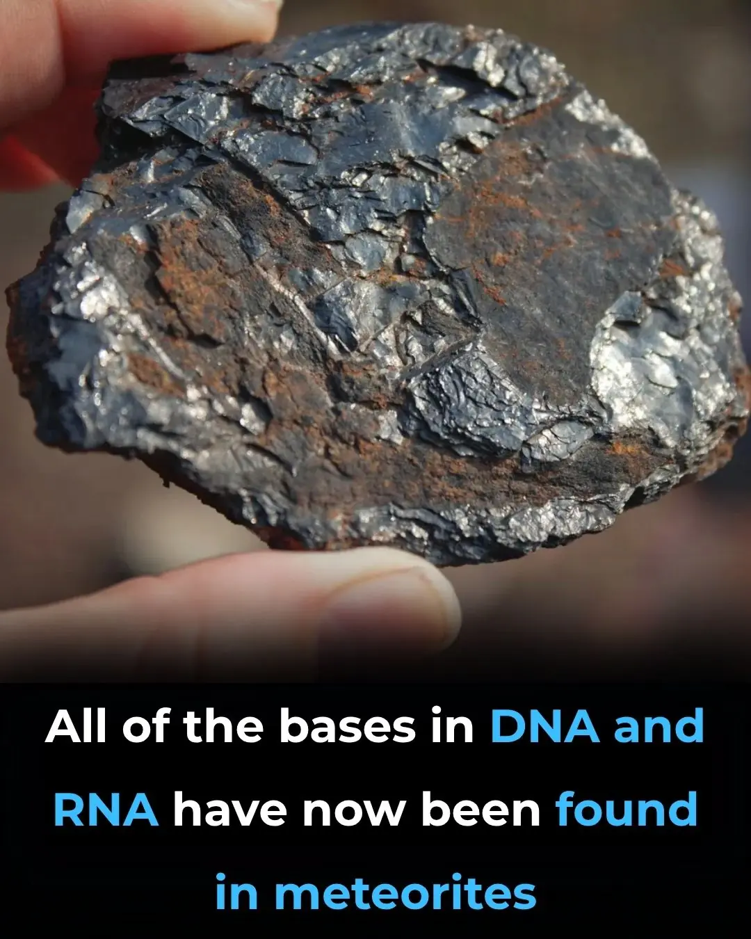 All DNA and RNA Bases Found in Meteorites: Life’s Origins May Be Cosmic