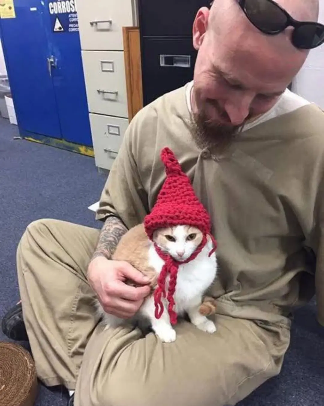 Redemption in Yarn and Paws: How a Cat Gave My Brother Back His Life