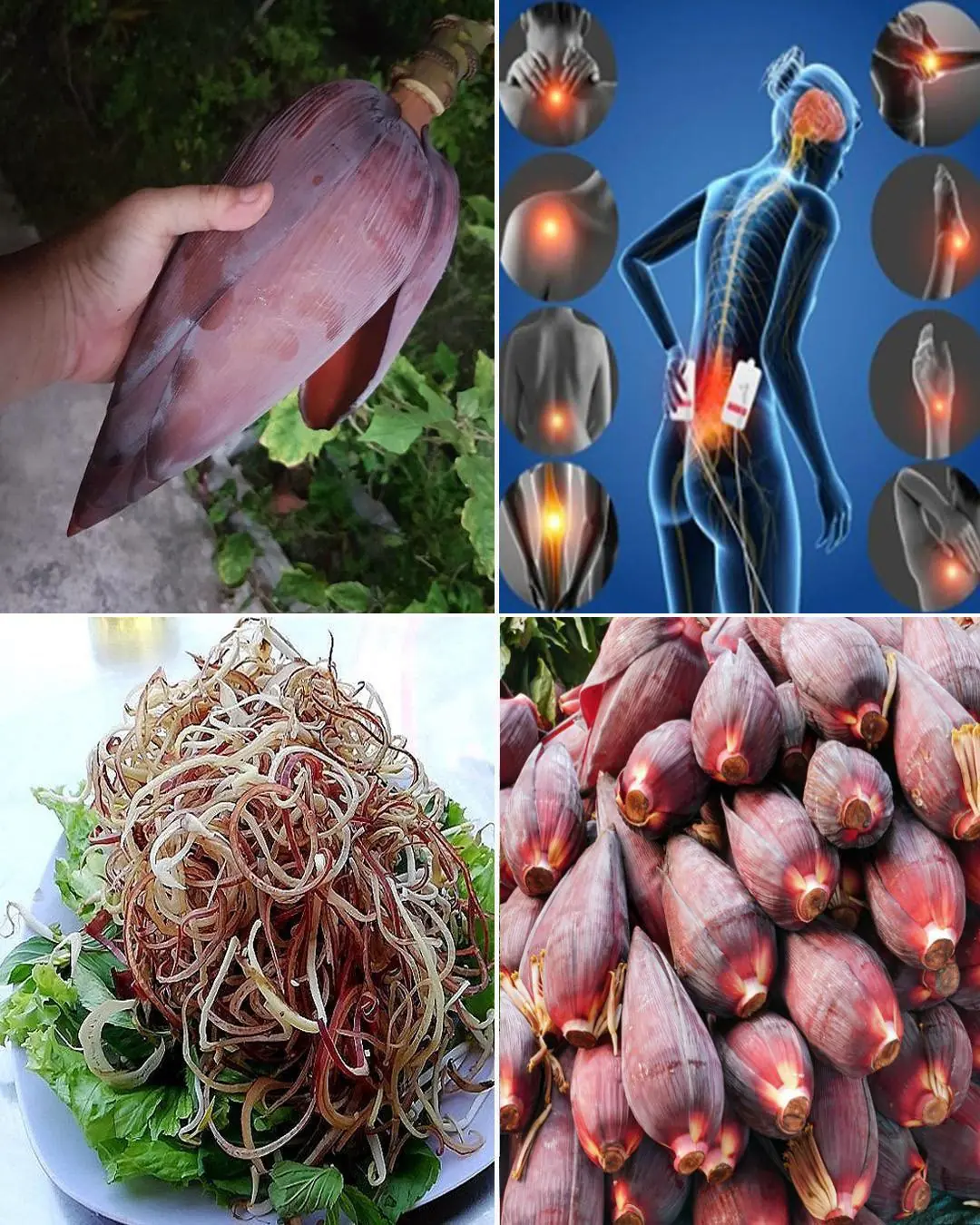 Banana Blossom: Health Benefits, Recipes, and Uses
