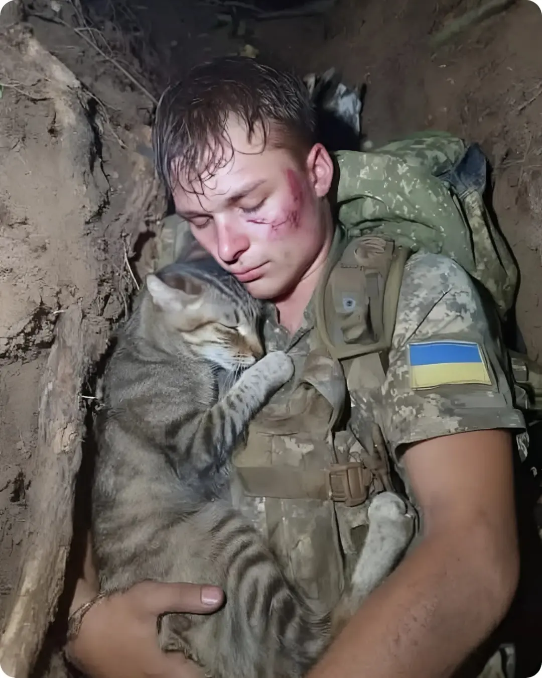 The Photo of the Year: A Glimpse of Courage the World Must Not Forget