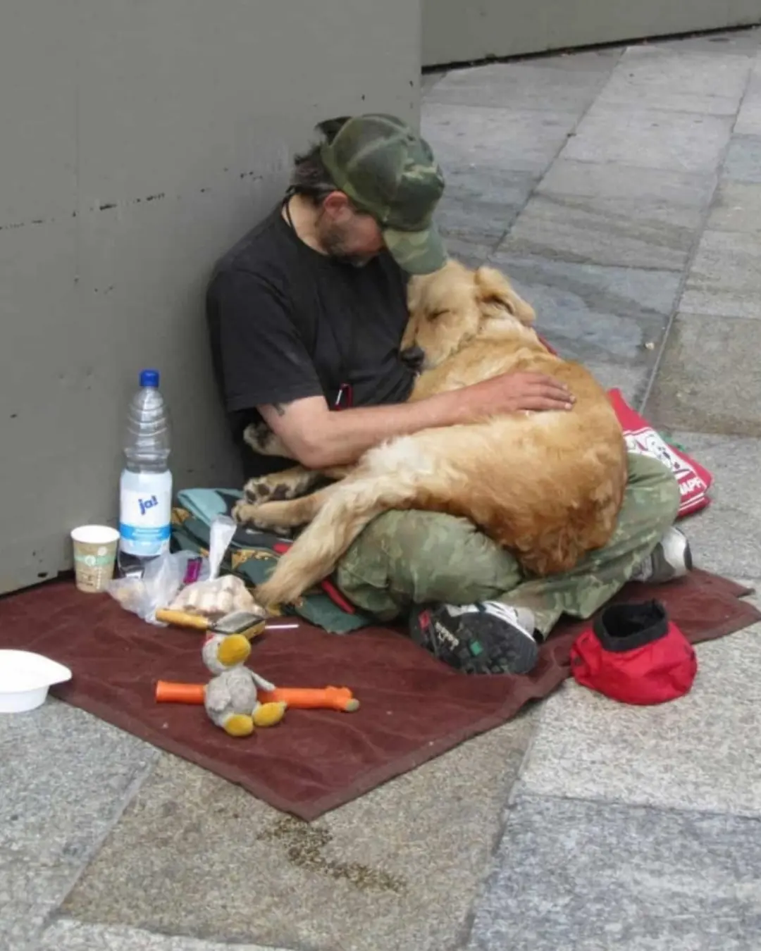 When Love Has No Address: A Man and His Dogs