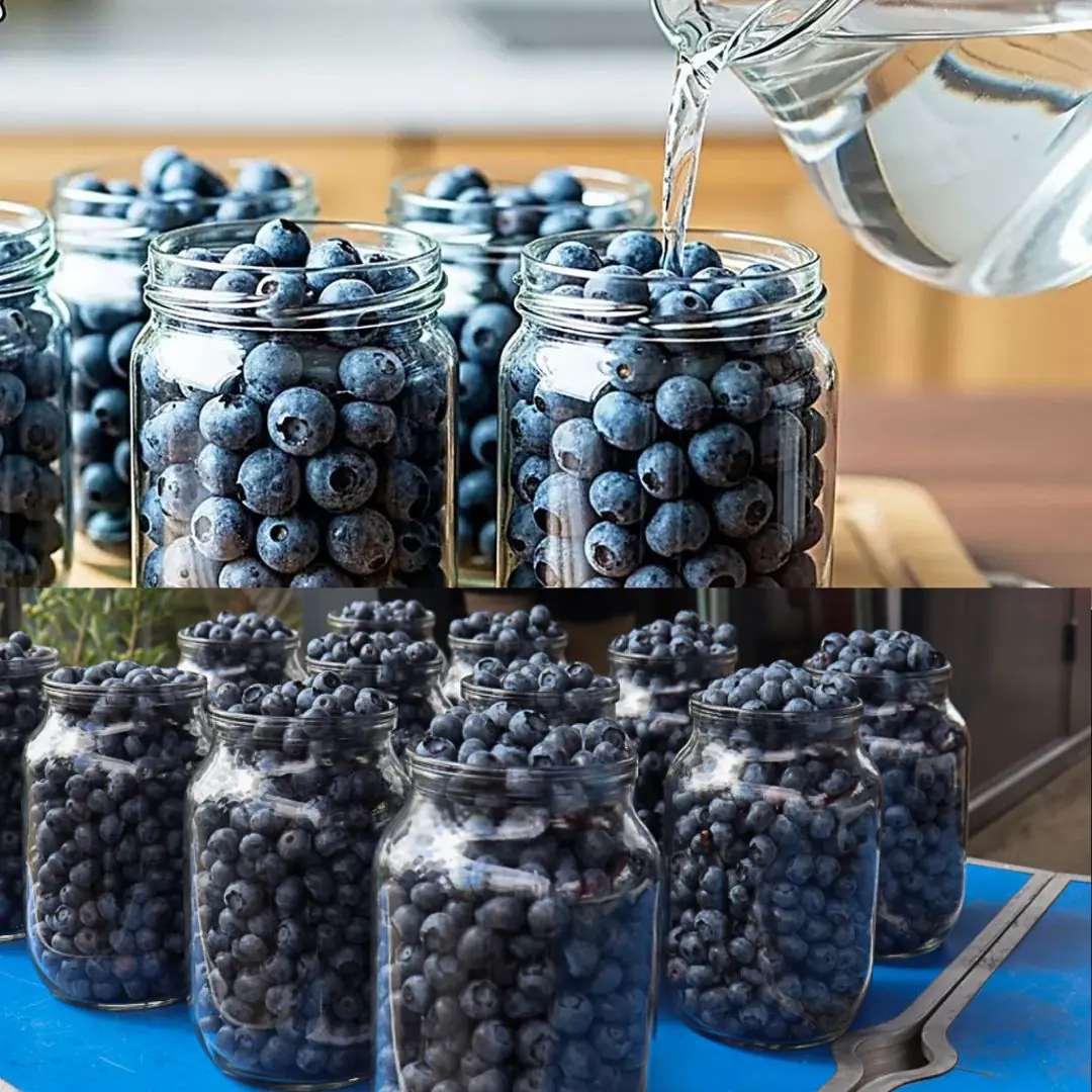 How to Preserve Fresh Blueberries at Home for Months