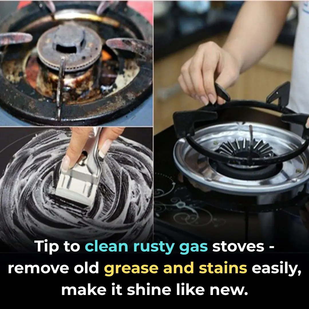 Tips to Clean a Rusty, Greasy Gas Stove — Restore It to Shiny