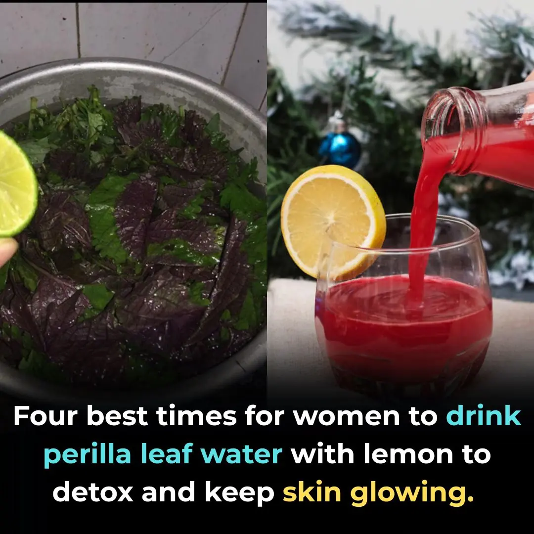 4 Best Times for Women to Drink Perilla-Leaf (Shiso) Water with Lemon to Detoxify and Radiate Skin