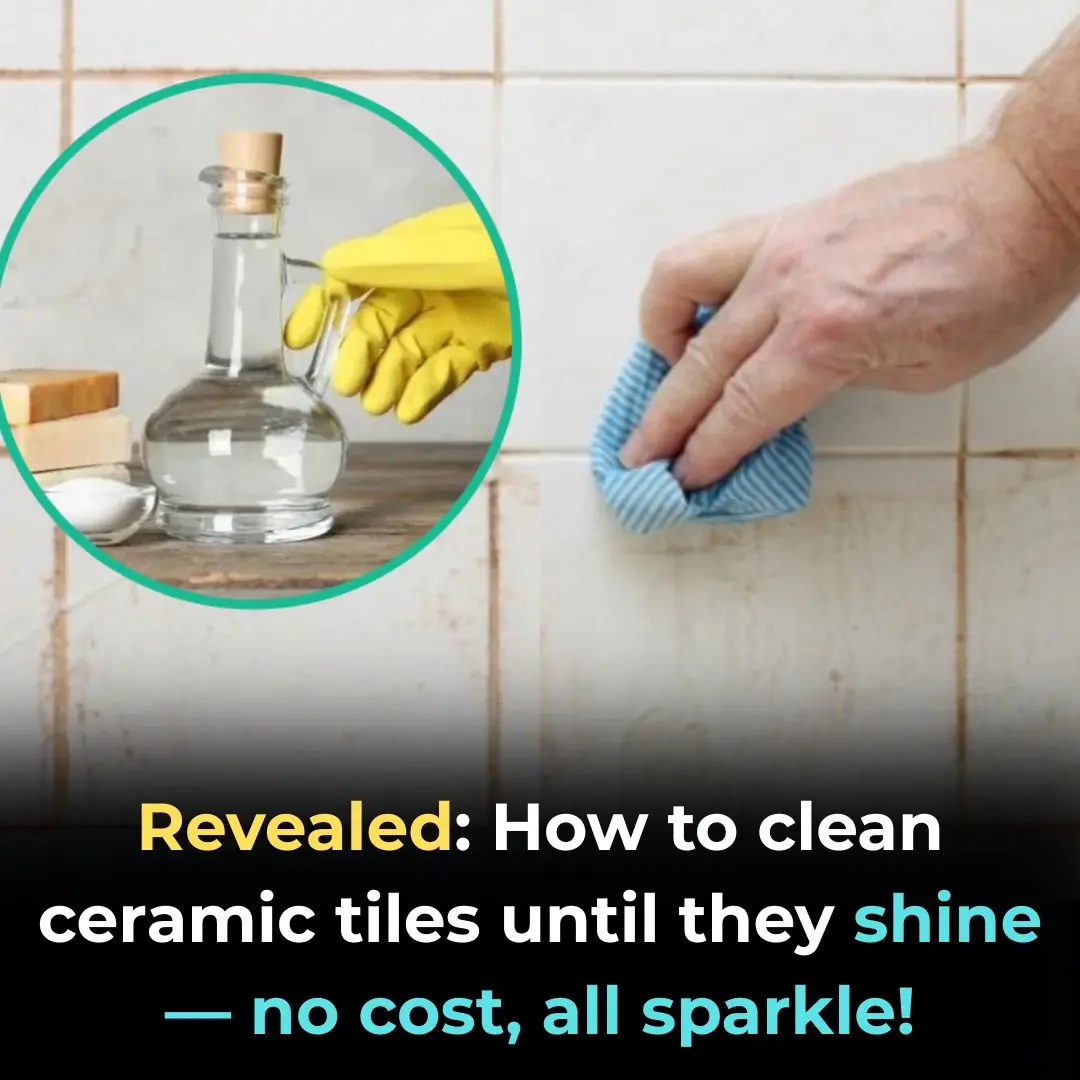 Reveal: A Zero-Cost Trick to Make Your Glazed Tiles Shine at Home