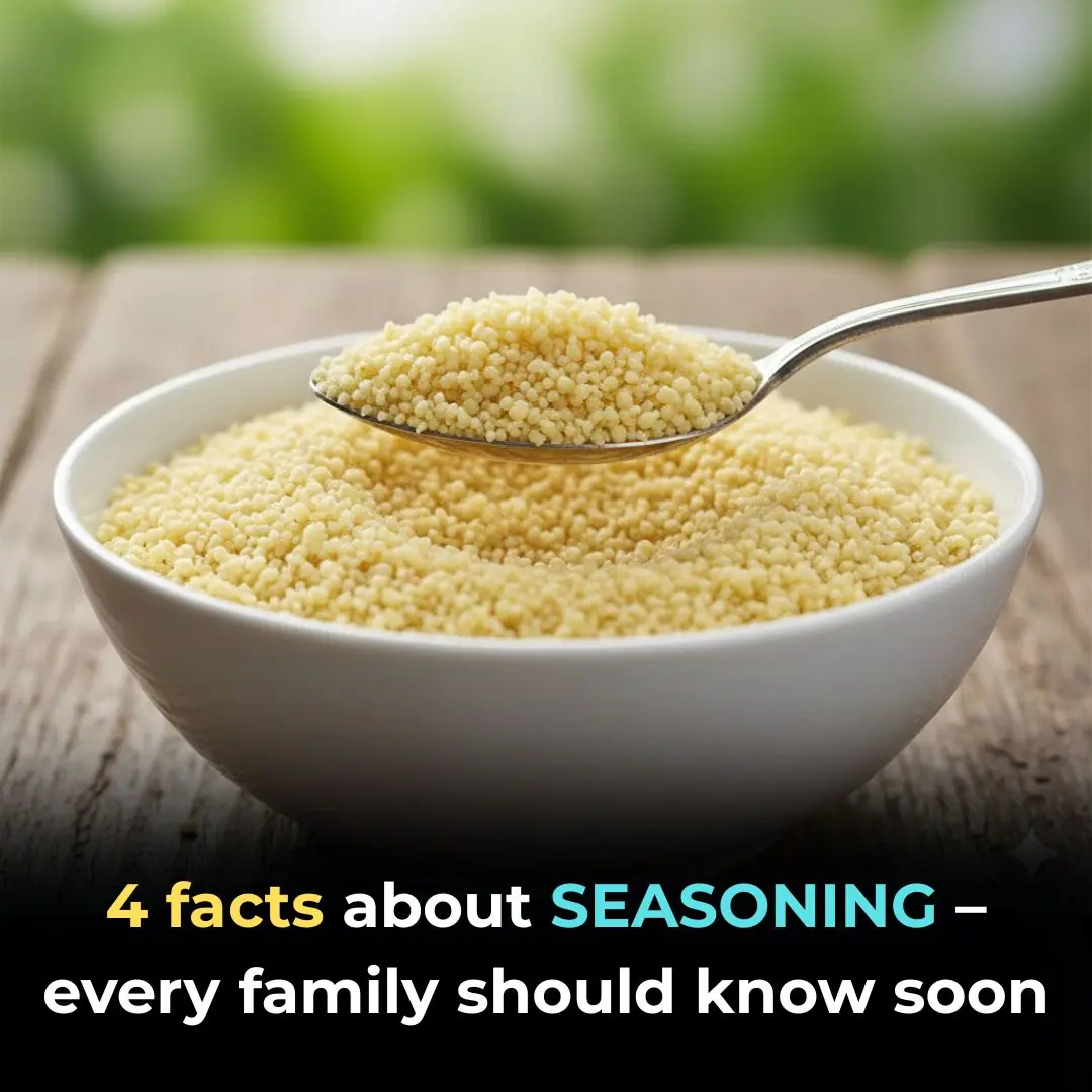 4 facts about SEASONING – every family should know soon