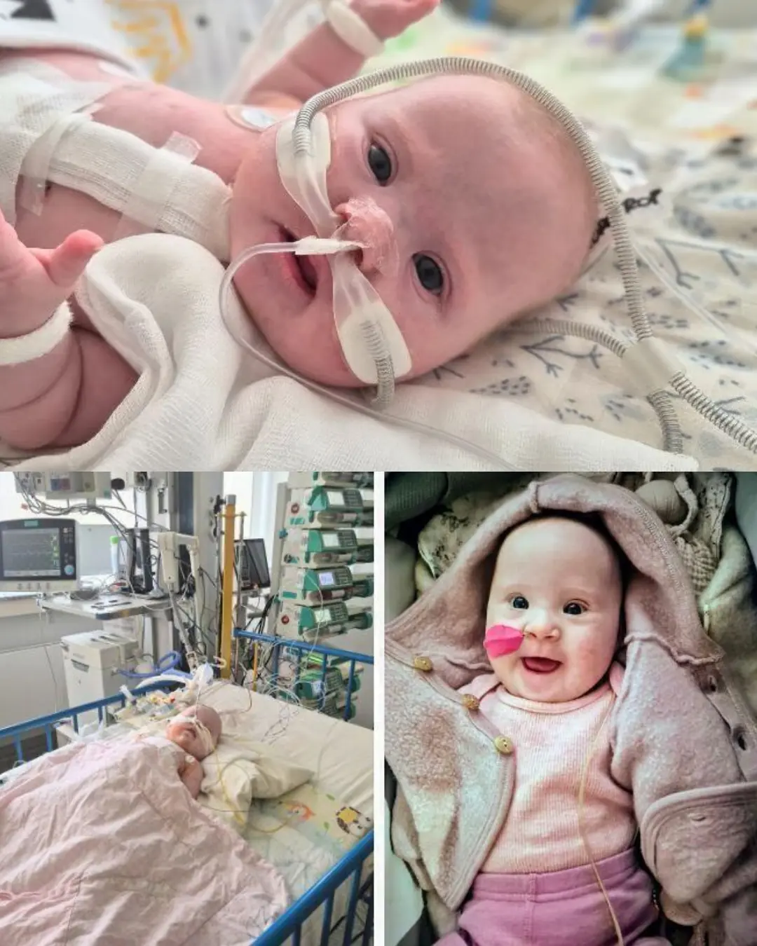 Olga’s Journey: A Fight for a Brighter Future