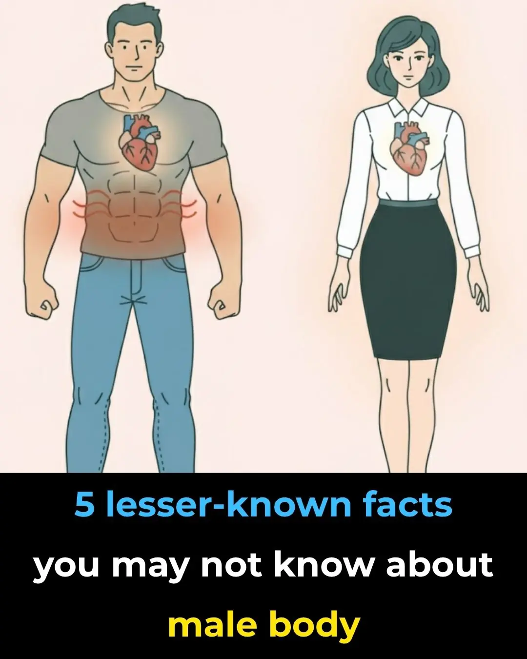 5 Lesser-Known Facts You May Not Know About Male Body