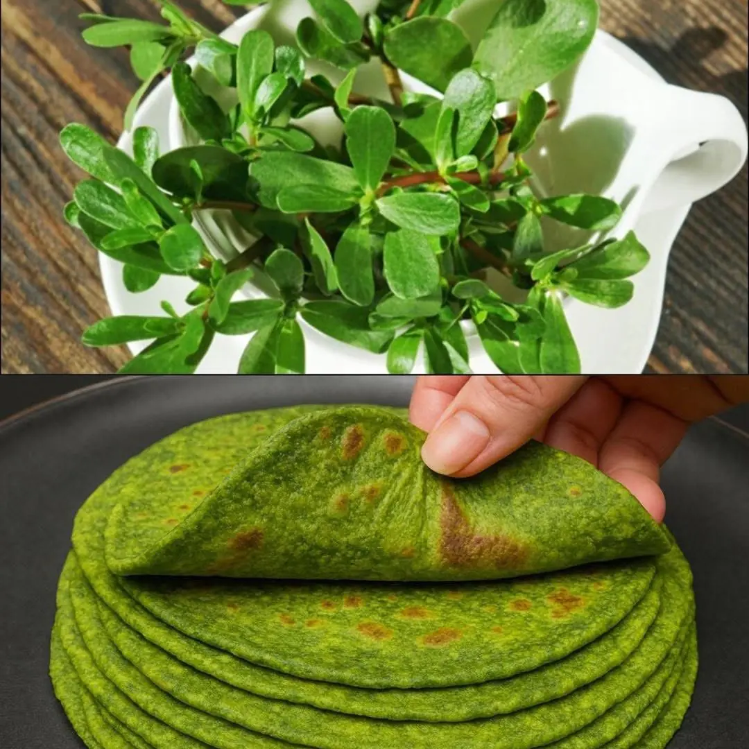 Why You Should Embrace Purslane in Your Garden: 8 Compelling Reasons