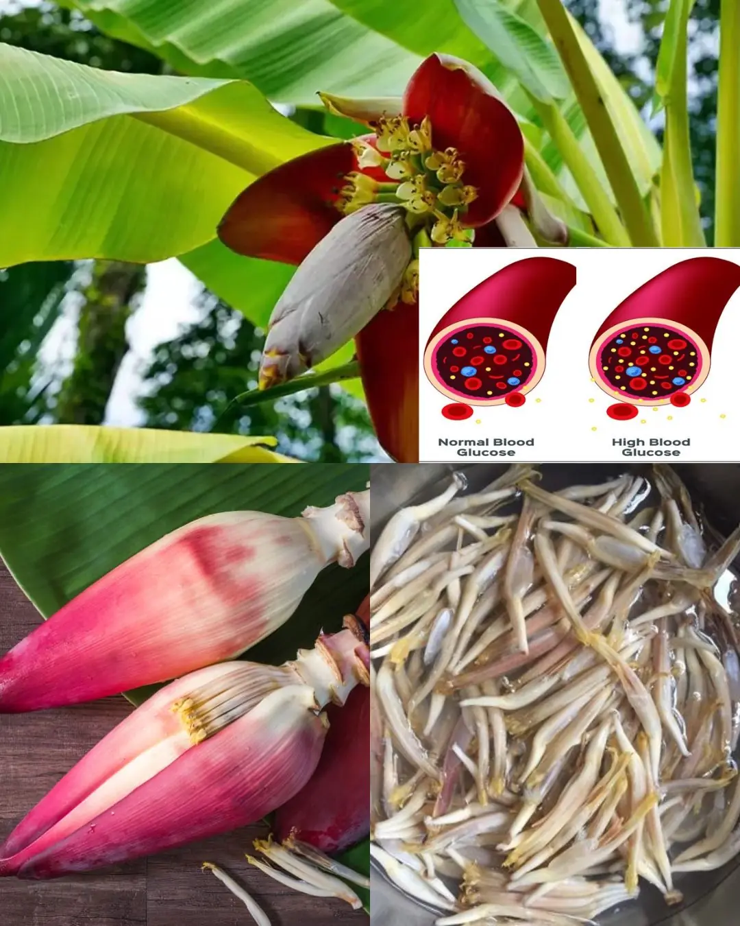 Banana Blossom: Health Benefits, Recipes, and Traditional Uses