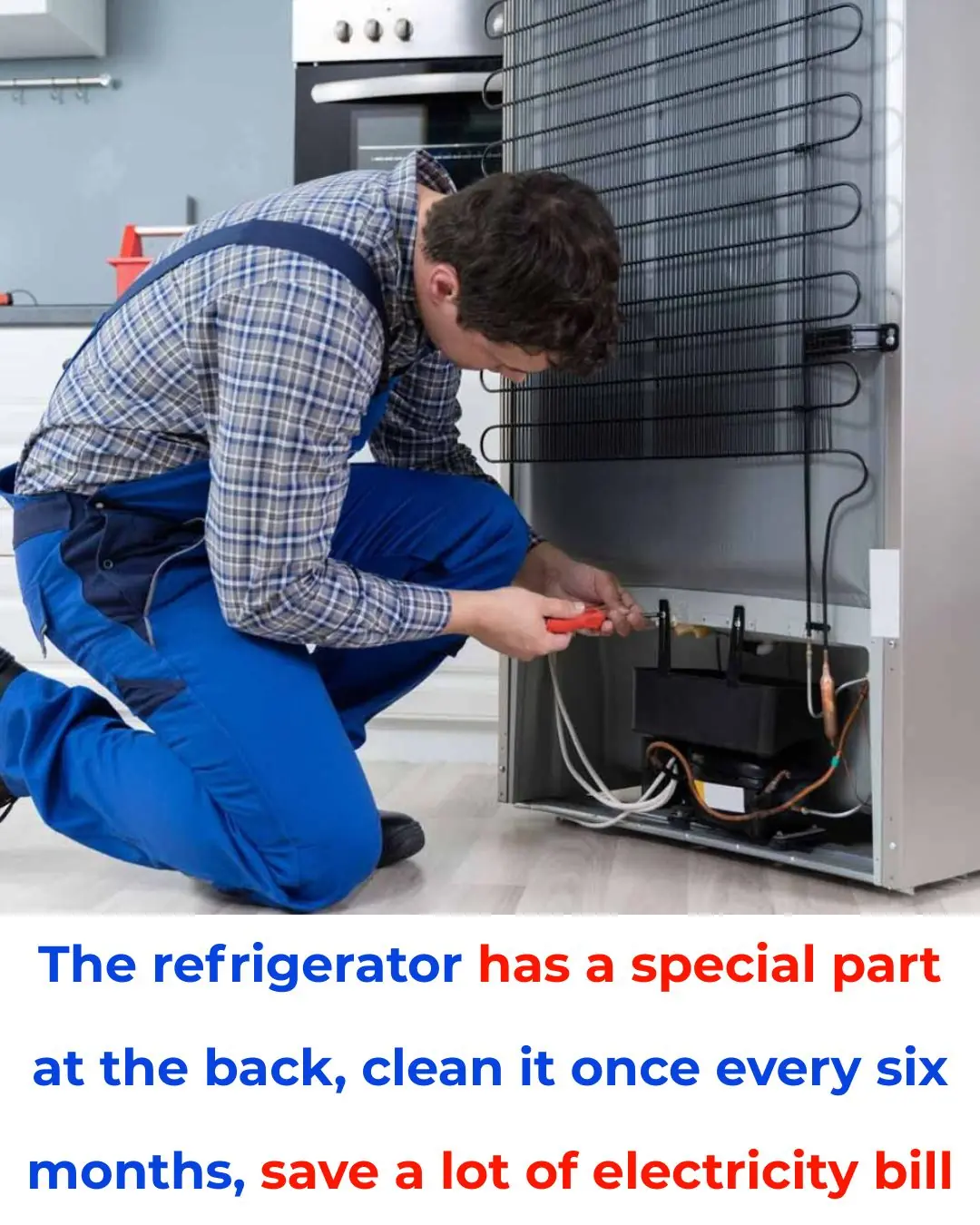 The Refrigerator Has a Special Part at the Back — Clean It Every Six Months to Save Hundreds on Your Electricity Bill