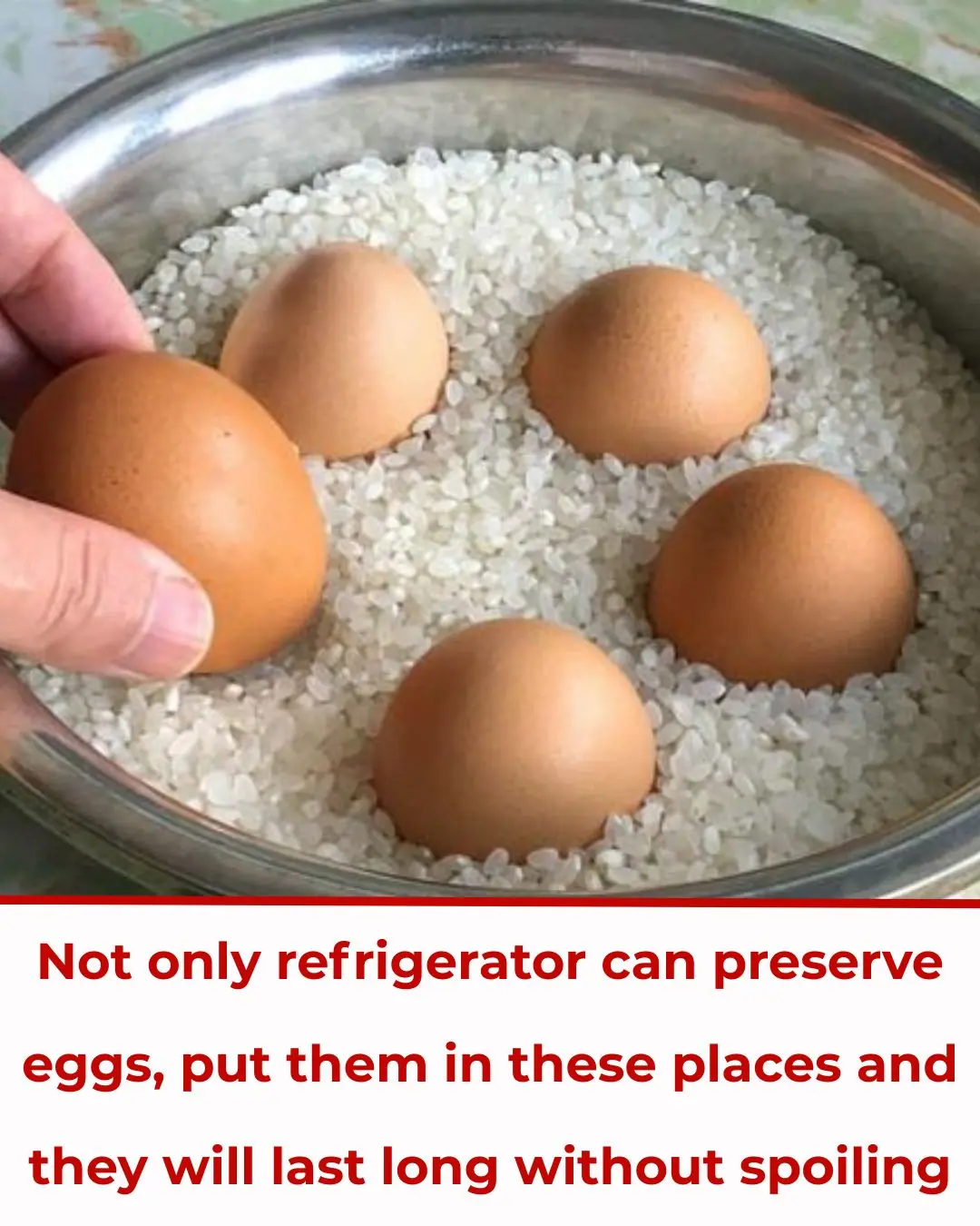 Not Only Refrigerators Can Preserve Eggs — Storing Them in These Places Keeps Them Fresh for a Long Time