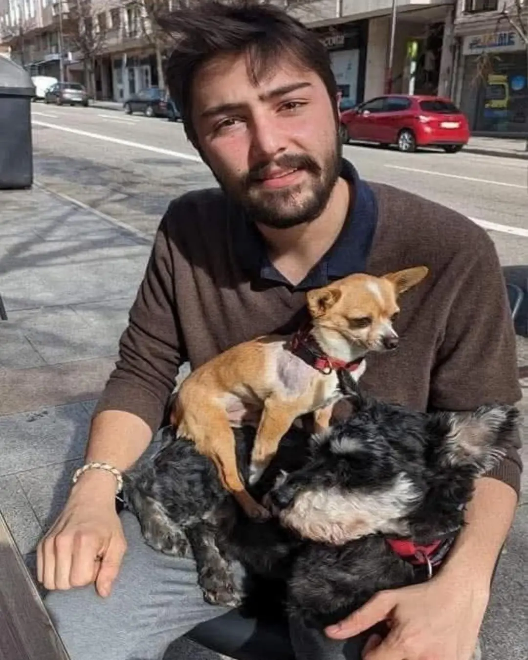 From Trash to Triumph: How One Young Man Saved a Chihuahua From a Cruel Fate
